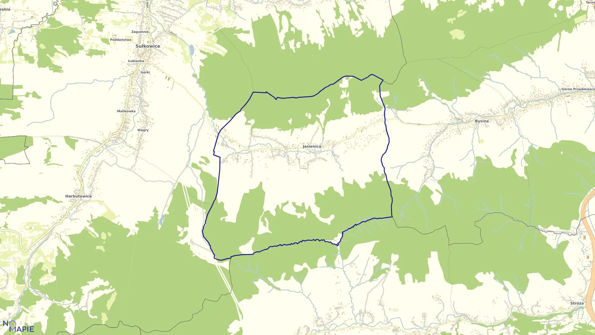 Mapa obrębu Jasienica w gminie Myślenice
